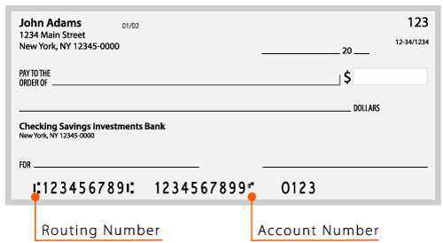 Checkout Process