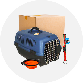 Pet Supplies