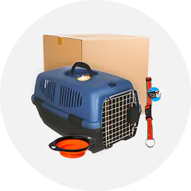 Pet Supplies