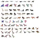 Animal Figures - Assorted (2 of 2)