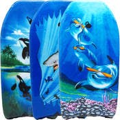 Assorted Kickboards - 2 Designs, 37"