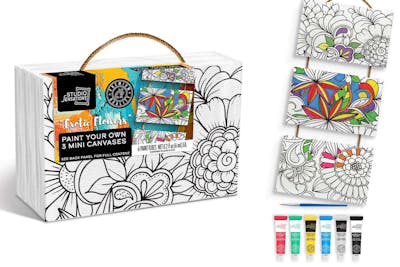 Paint Your Own 3 Mini-Canvas Kit – Exotic Flowers