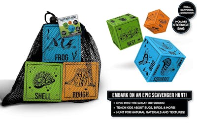 Scavenger Hunt Dice Sets