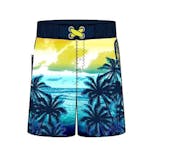 Boys Swim Trunks, Size 2-4T