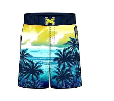 Boys Swim Trunks, Size 2-4T