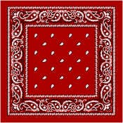 Paisley Bandanas - Red, 21" x 21"