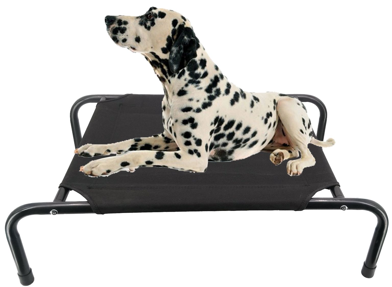 Wholesale Elevated Dog Beds Black, Large DollarDays