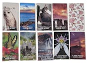 Two-Year Planner, Assorted Covers