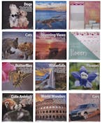 2026 Wall Calendar - 12 Assorted Designs