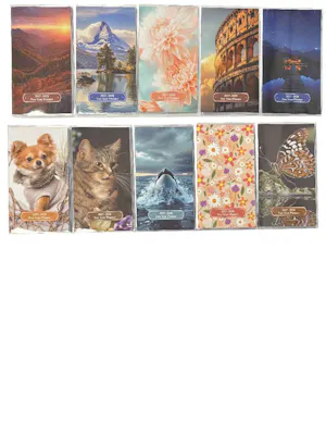 2027 - 2028 Two Year Planner - Assorted