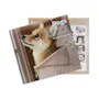 2027 Wall Calendar - Assorted,12" x 11" (12 of 13)