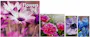 2027 Calendar Set - 4 Pack, Assorted (3 of 3)