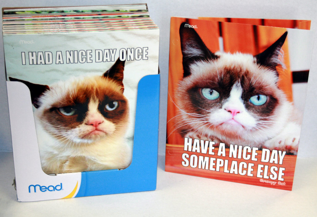 Wholesale Mead grumpy cat portfolio | DollarDays