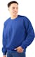Adult Crewneck Sweatshirts - Royal, S-XL