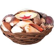 Woven Shell Basket - 40-45 Shells Included