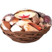 Shell Baskets - 6.5", Shells Included