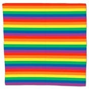 Rainbow Bandanas - 22" x 22"