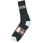 Cotton Plus Ankle socks - Size 9-11 image number null