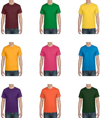 Irregular Gildan Short Sleeve T-Shirt - Assorted Colors, Medium