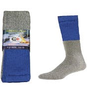 Thermal Socks, Royal and Gray, Size 10-15
