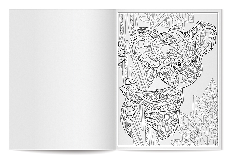 Bulk Adult Coloring Book Sets - 24 Pages, Colored Pencils - DollarDays