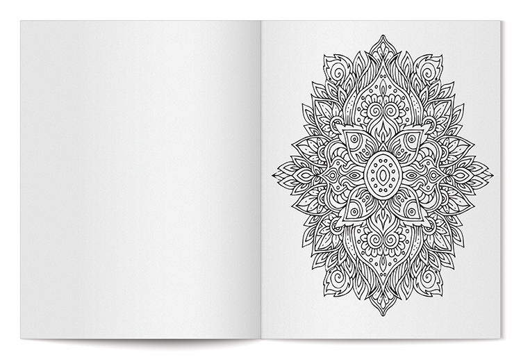 Adult Coloring Book Sets - 24 Pages, Colored Pencils Included