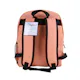 BigBox 15" Classic Backpacks - Assorted Brights (6 of 12)
