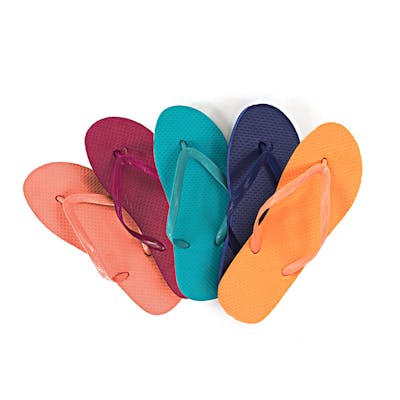 BigBox Women's Flip Flops - Bright Assortment