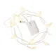 LED Photo Clip Strand (4 of 5)