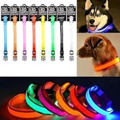 Led Dog Collars - 8 Colors