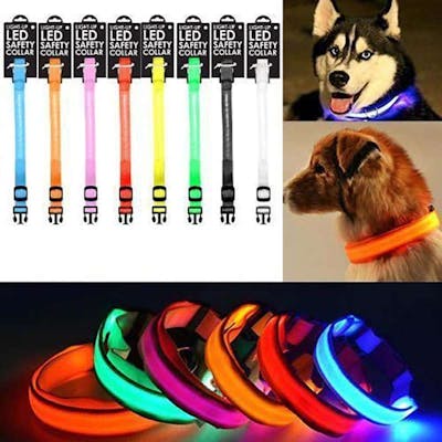 Led Dog Collars - 8 Colors