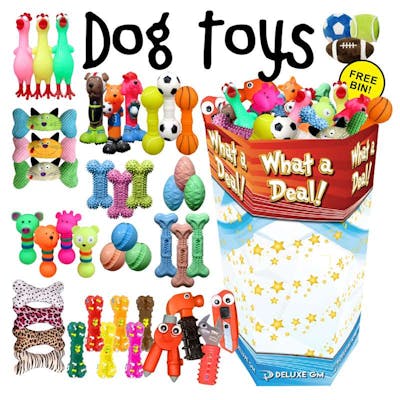 Dog Toys - 12 Assorted Styles