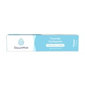 Fluoride Toothpaste - 1.5 oz, Mint, Boxed