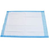Absorbing Underpads - 100 Pack, 17" x 24"