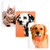 Animal Themed Fat Books - 48 Pack