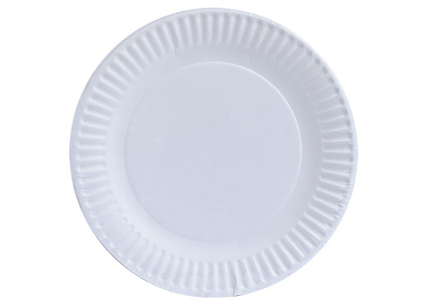 Paper Plate 9 inch each, Pala Supply Company