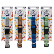 Pet Collars - Medium, Assorted
