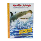 Aguas Salvajes Coloring Books - Spanish, 80 Pages