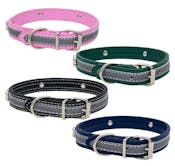 Pet Collars - Assorted