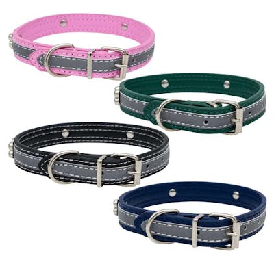 Pet Collars - Assorted