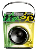 Karaoke Speakers with Two Wireless Mics