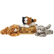 Floppy Bean Bag Cats - Assorted Styles, 9"