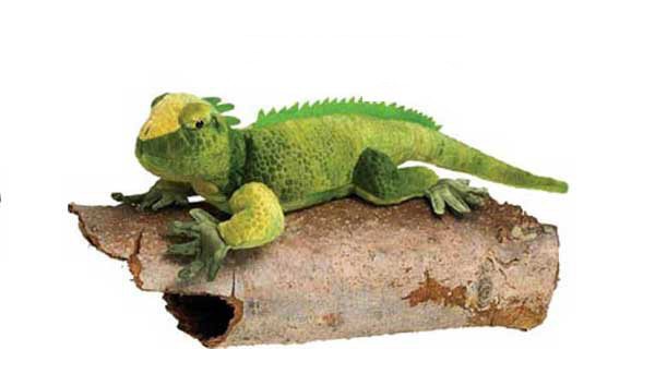 iguana plush