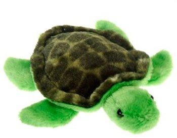plush turtles
