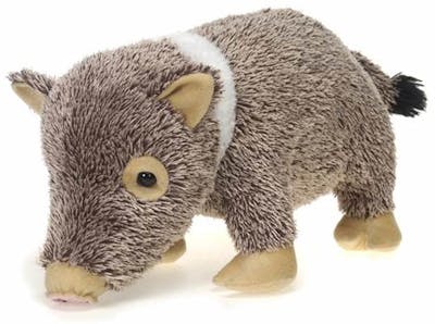 stuffed javelina toy