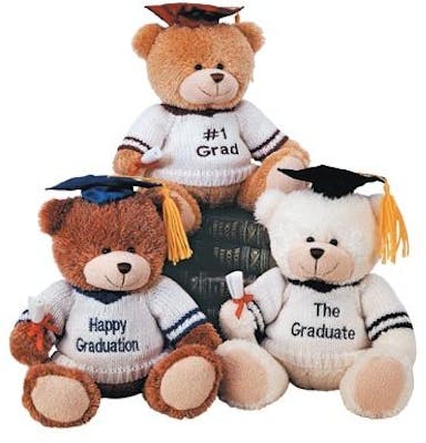 graduation teddy bear bulk