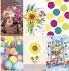 Blank Greeting Cards - Assorted, 5"x7.75" image number null