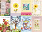 Friendship Cards - Assorted, 5"x7.75" image number null