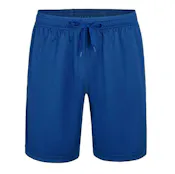 Micro Mesh Athletic Shorts - Royal Blue, XL
