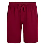 Micro Mesh Athletic Shorts - Wine, XL